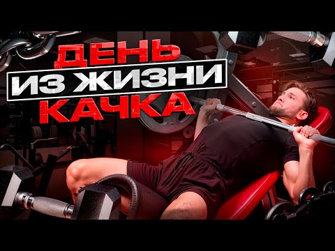 Видео: 1 день в зале: качаемся, шутим, мотивируем