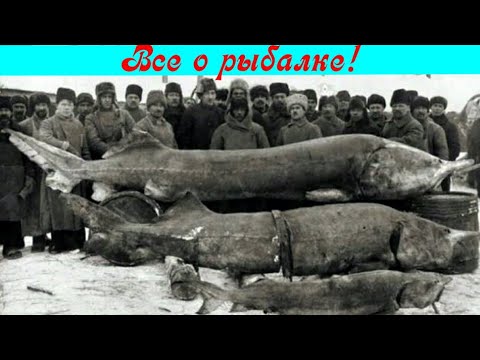 Видео: Рыболовство на Оке с древности до наших дней!!!