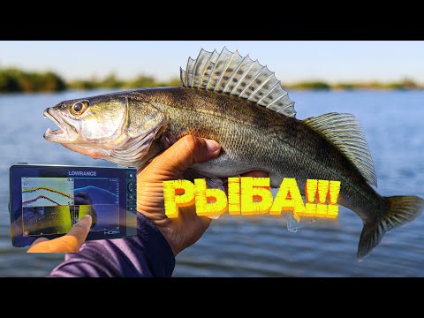 Видео: Капризный СУДАК!!! ВОТ что ему нужно было😉