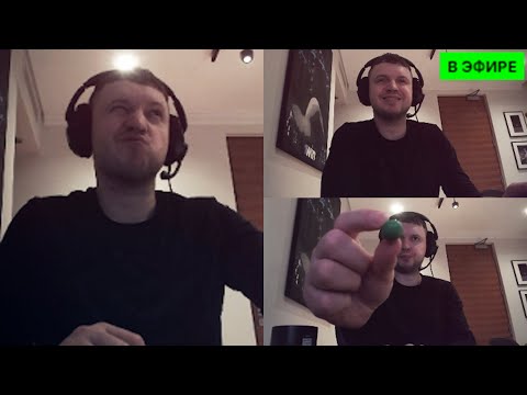 Видео: ПОЦЕЛОВАЛ БЫ ТИГРА (100% БЕЗОПАСНО)?