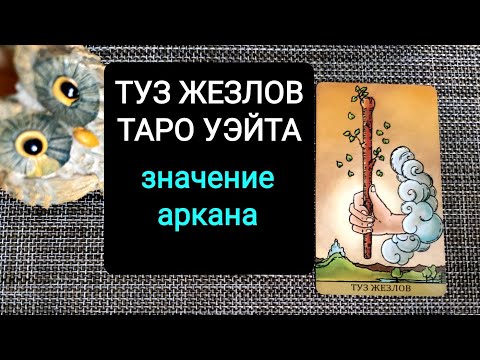 Видео: ТУЗ ЖЕЗЛОВ/ЗНАЧЕНИЕ АРКАНА ТАРО УЭЙТА