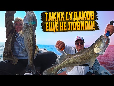 Видео: ТАКИХ СУДАКОВ Я ЕЩЕ НЕ ЛОВИЛ. БИКФИШ НОВЫЙ ЛИЧНЫЙ РЕКОРД. ЭТОТ ВОБЛЕР ПРОСТО КОСИТ СУДАКА.