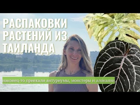 Видео: Распаковываю НОВИНКИ из ЗАКУПОК| Что я купила и как пересаживаю