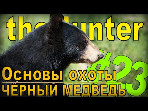 Видео: the Hunter - Барибал [Основы охоты] #23