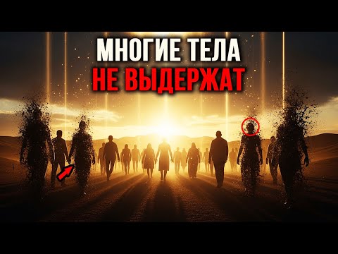 Видео: Эти сигналы показывают, кто не готов к переходу — предупреждает Матрица Света!