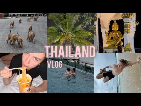 Видео: vlog | наш первый Тайланд 2024 (часть 1), сотни тысяч обезьян, пробуем крокодила, леди бои