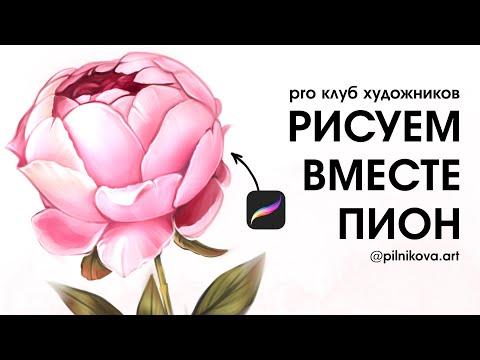 Видео: PROCREATE. Рисуем вместе пион! Pro клуб художников