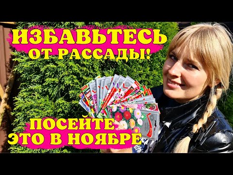 Видео: Избавьте СЕБЯ ОТ РАССАДЫ! Посейте ЭТИ ЦВЕТЫ В НОЯБРЕ!