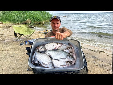 Видео: РЫБАЛКА на ФИДЕР в ХОЛОДНОЙ ВОДЕ 2024 / ЛОВЛЯ на ВОДОХРАНИЛИЩЕ ОСЕНЬЮ