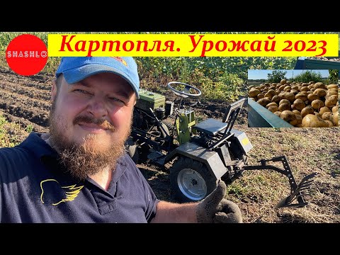 Видео: Копаємо ранню картоплю мототрактором. Який врожай?