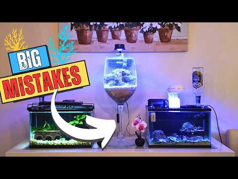 Видео: Ошибки новичков в соленой воде — не совершайте их!