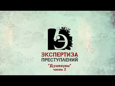 Видео: ЧП.BY ЭКСПЕРТИЗА ПРЕСТУПЛЕНИЙ. Душегубы (часть 2)