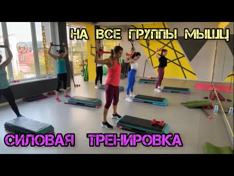 Видео: Силовая тренировка на все группы мышц | You Fitness Star
