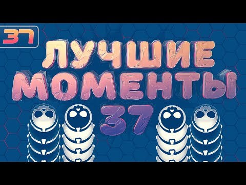 Видео: WORMAX.IO - ЛУЧШИЕ МОМЕНТЫ #37 | Best Moments