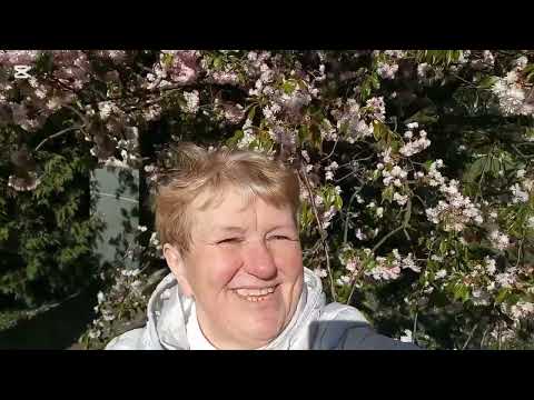 Видео: 20 лет спустя! Ботанический сад в Минске