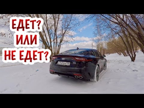 Видео: СКАНДАЛЬНЫЙ КИА СТИНГЕР! ТЕСТ ДРАЙВ! ДИНАМИКА И ПЕРВЫЕ ВПЕЧАТЛЕНИЯ!