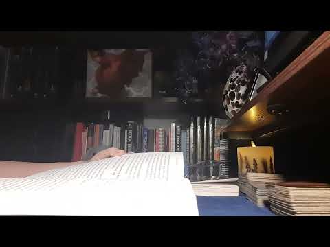 Видео: ЧАСТЬ ВТОРАЯ. ТЕМНАЯ СТОРОНА БЛИЗНЕЦОВЫХ ПЛАМЕН. ПЕРЕВОД С АНГЛИЙСКОГО 