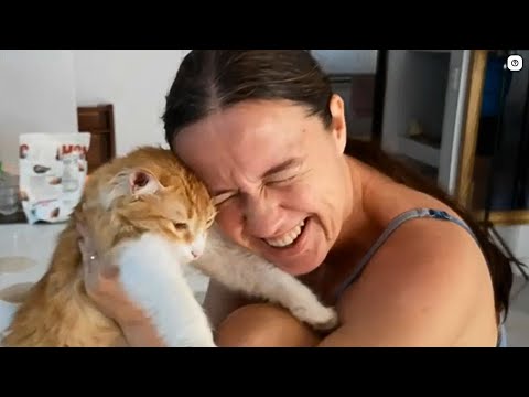 Видео: Наши будни в Коста-Рике. Август 2025 г.