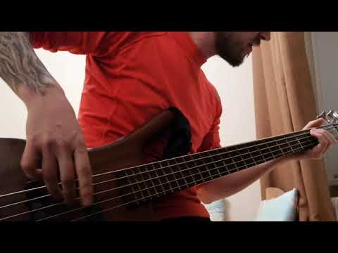 Видео: Ария - Страж империи(бас кавер)