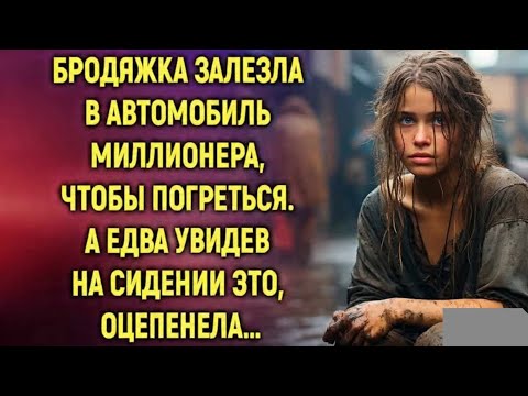 Видео: Бродяжка залезла в автомобиль миллионера, чтобы погреться. А едва увидев на сиденье это, оцепенела…