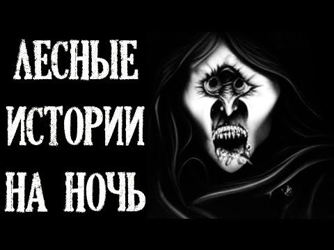 Видео: Лесные Истории на Ночь. Истории про Лес (3в1)