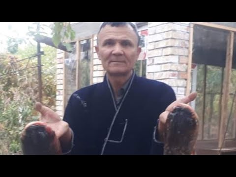 Видео: АШУРАЛИ КАРИМОВ в прямом эфире!