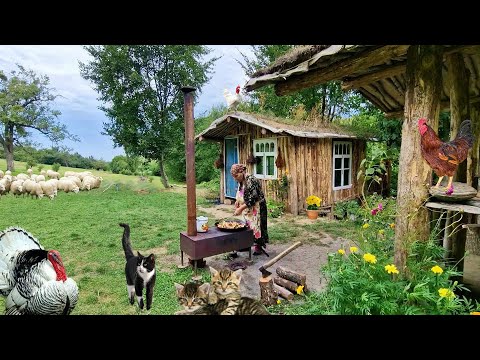 Видео: Два Самых Вкусных и Простых Рецепта в Одном Видео.