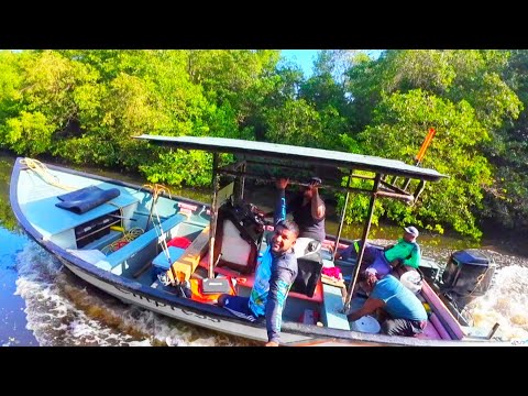 Видео: Рыбалка ради еды | Ловить | Чистить | Готовить | На частном пляже #Тринидад