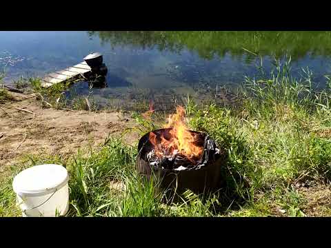 Видео: Рыбалка в дельте Или на острове. Белый Амур гнёт крючки!