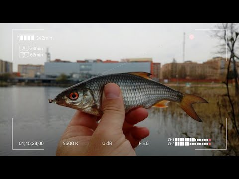 Видео: Ловля спиннингом на мормышку. Рыбалка в Дубне в конце апреля.