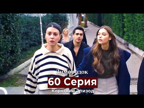 Видео: Зимородок 60 Cерия (Короткий Эпизод) (Русский дубляж)