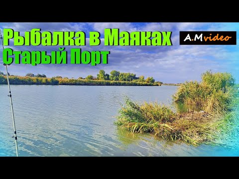 Видео: Сурен и Русалки ))Рыбалка в Маяках, Река Днестр, Старый Порт 18.10.23.