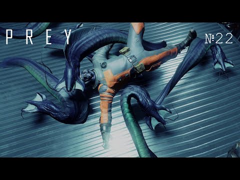 Видео: №22 Полезно-опасные угри🐱Prey