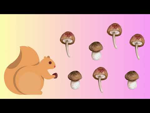 Видео: “Товстий, тонкий”(логіко-математичний розвиток)