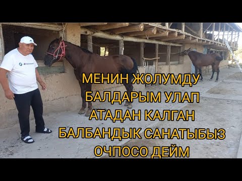 Видео: Эрмек чапкан аттар