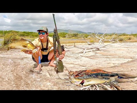 Видео: 2 ДНЯ ВЫЖИВАНИЯ В ОДИНОЧКУ БЕЗ ЕДЫ И КРЫТИЯ в отдаленной Австралии