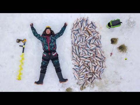 Видео: На край земли за ГОРОЙ ПЛОТВЫ! Экспедиция в Нарьян-Мар. Зимняя рыбалка в раю! Первый-Последний лëд