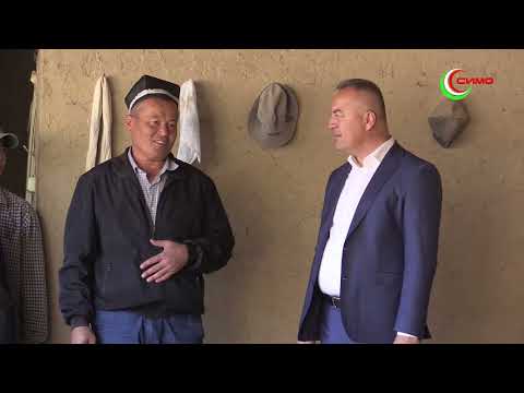 Видео: Пайғом 07 11 2025