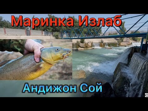 Видео: Маринка Балиг Излаб 7 августа 2025 г.
