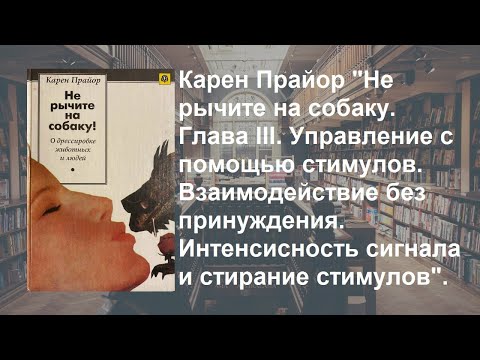 Видео: Стрим 232. Карен  Прайор "Интенсивность сигнала и стирание стимулов"