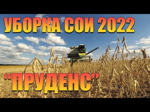 Видео: Уборка сои 2022 г.  Сорт "Пруденс", прямой посев.