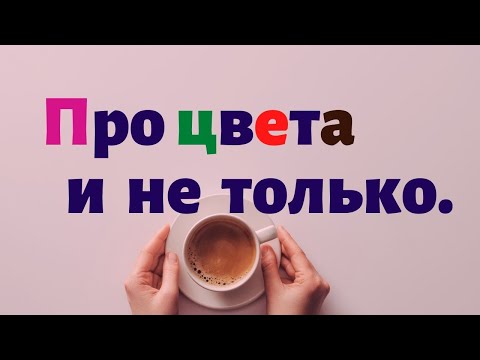 Видео: Испанский язык. Грамматика и лексика в цветах.