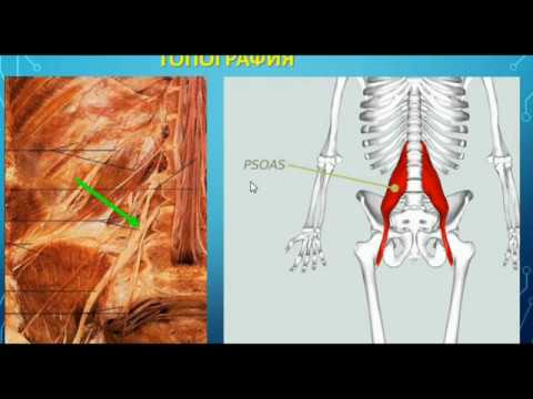 Видео: ПОЯСНИЧНОЕ СПЛЕТЕНИЕ