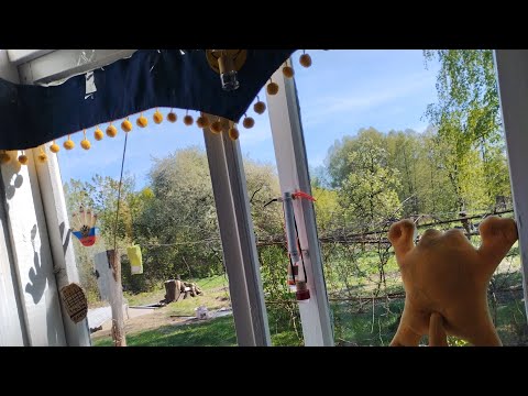 Видео: Рейс на даф