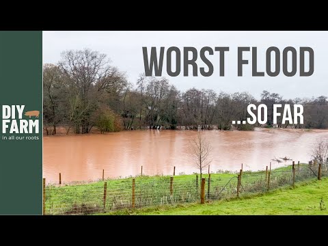Видео: ХУДШЕЕ НА СЕЙЧАС - Почти половина фермы под водой!