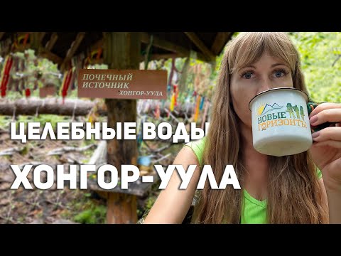 Видео: Целебные источники Хонгор-уула. Осторожно, змеи.