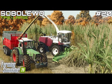 Видео: УБОРКА САХАРНОГО ТРОСТНИКА И ФЕРМЕРСКИЕ РАБОТЫ | Sobolewo | Farming Simulator 25 | Эпизод 20