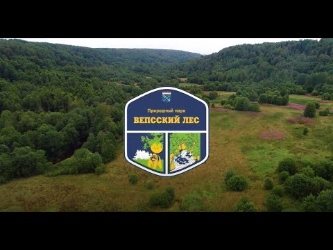 Видео: Природный парк «Вепсский лес»