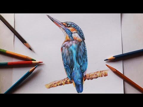 Видео: Рисование зимородка цветными карандашами | как нарисовать зимородка | Смешивание цветных карандаш...