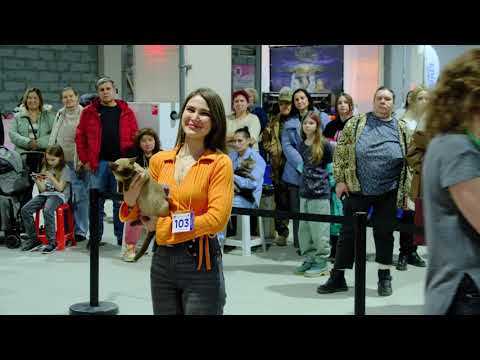 Видео: Выставка кошек в Екатеринбурге УРОФО "Грация", БЭСТ день первый